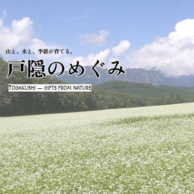 戸隠のめぐみ